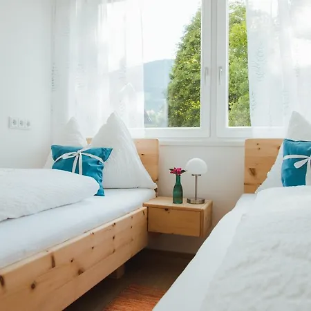 Rauchkofel 아파트 *